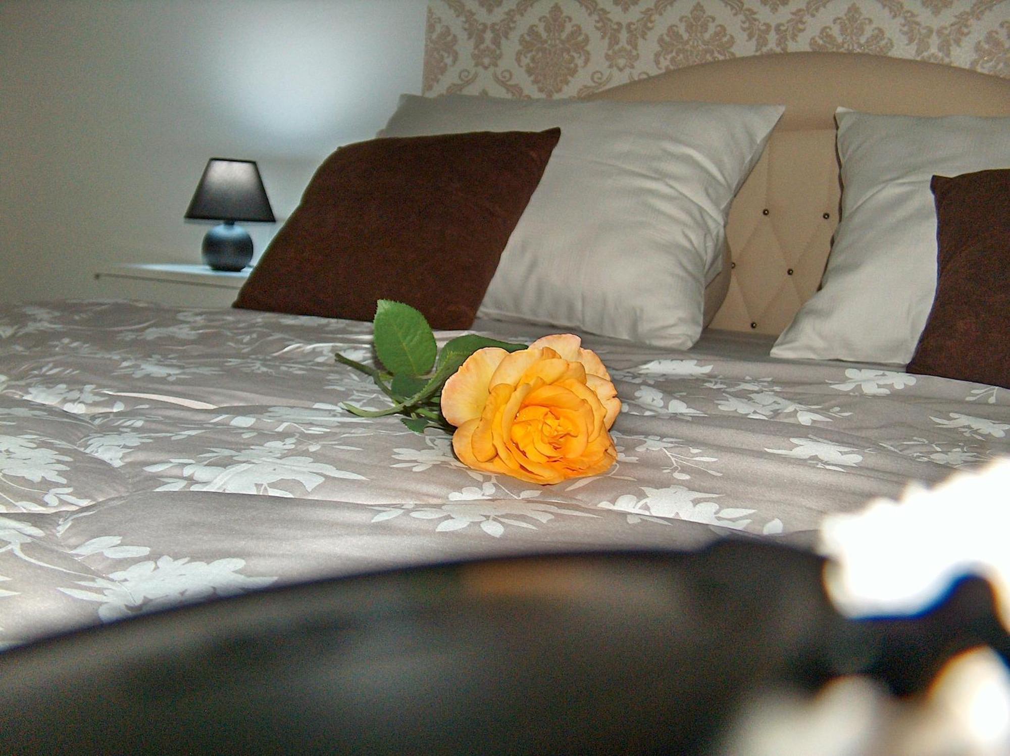 Happy Star Apartment Nis Ngoại thất bức ảnh